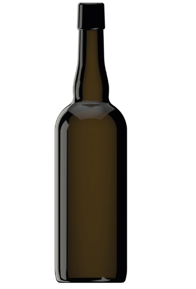 Beer Bottle 
